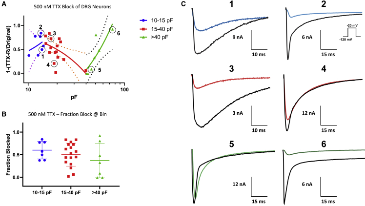 Figure 5