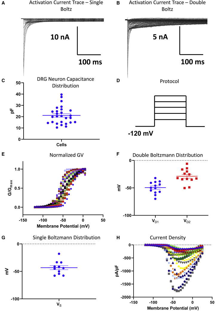 Figure 2