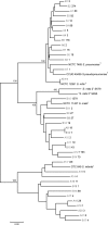FIG. 2.