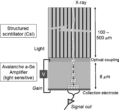 Fig. 13