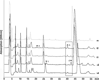 FIG. 6.