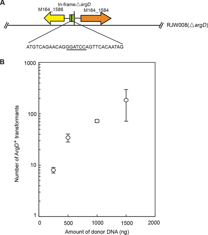 FIG 1