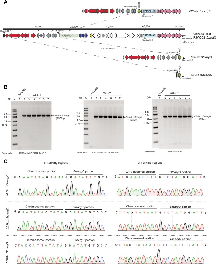 FIG 6