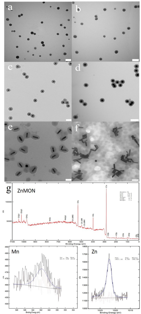 Fig. 1