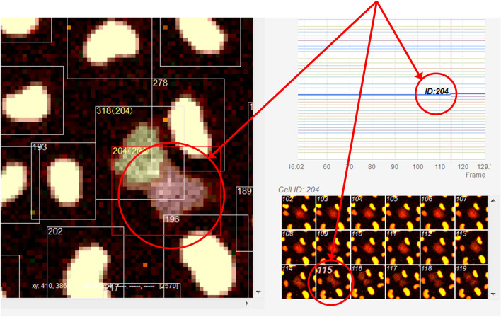 Figure 7