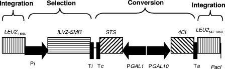 FIG. 4.