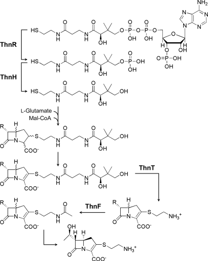 Fig. 5.