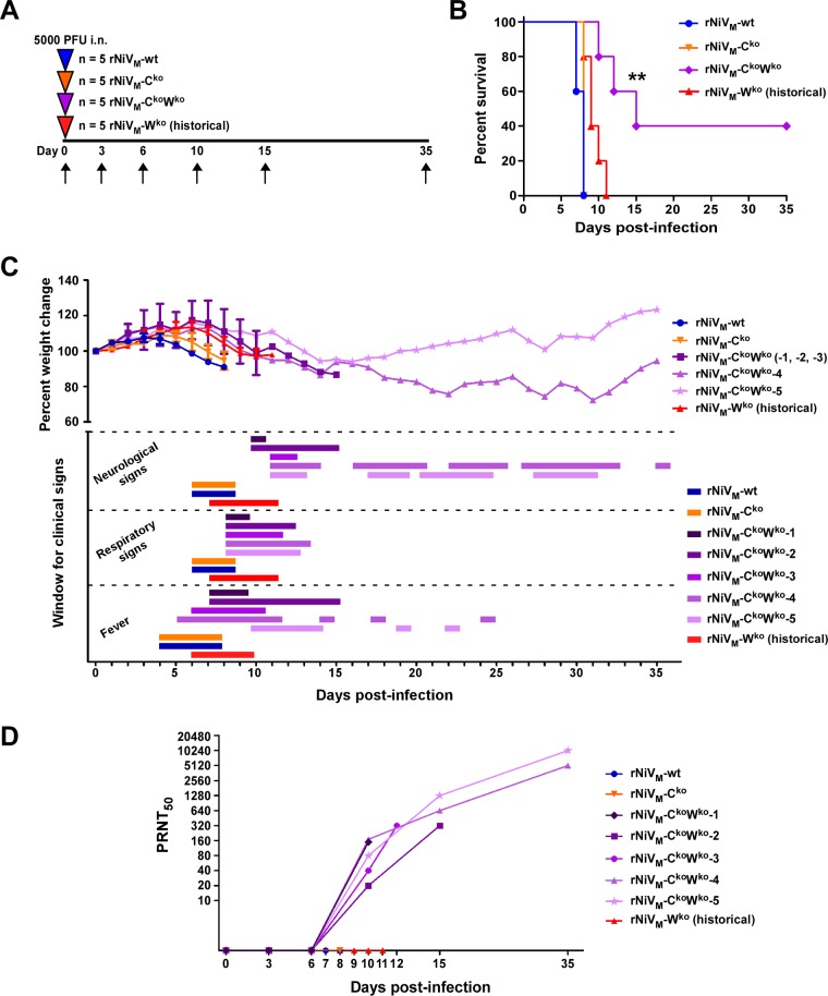 FIG 4