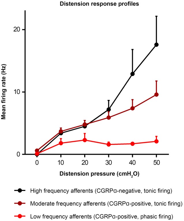 Spinal Afferent Innervation Of The Colon And Rectum - Pmc