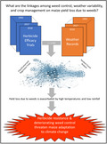 graphic file with name GCB-27-6156-g002.jpg