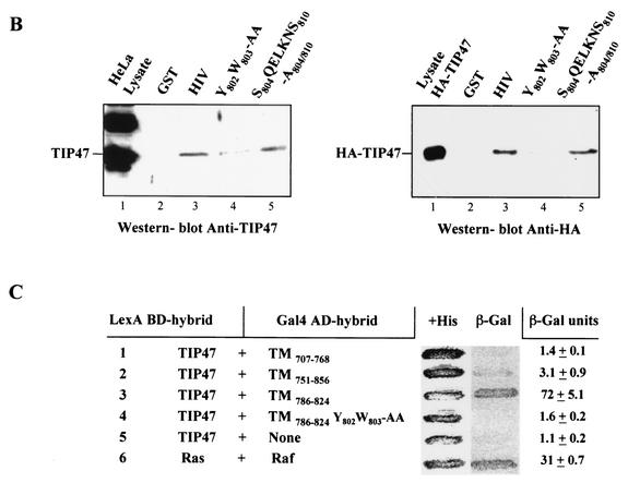 FIG.7.