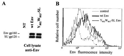 FIG. 8.