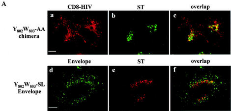 FIG.7.