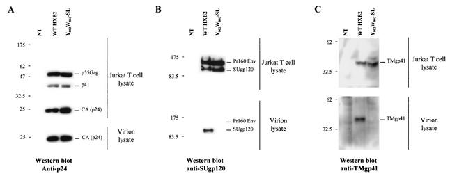 FIG. 10.