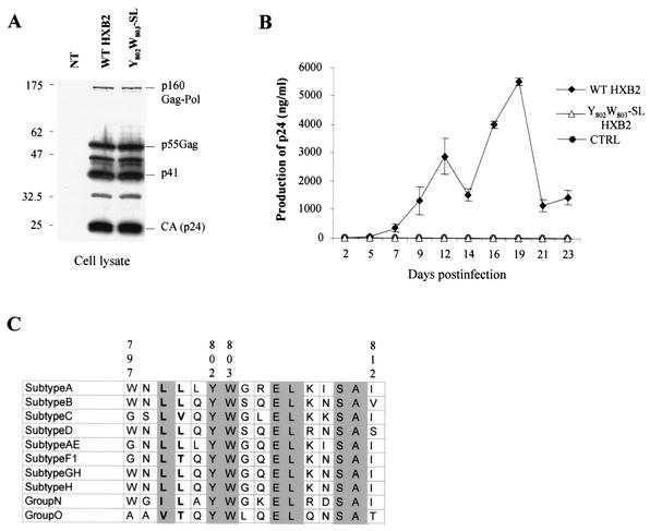 FIG. 9.