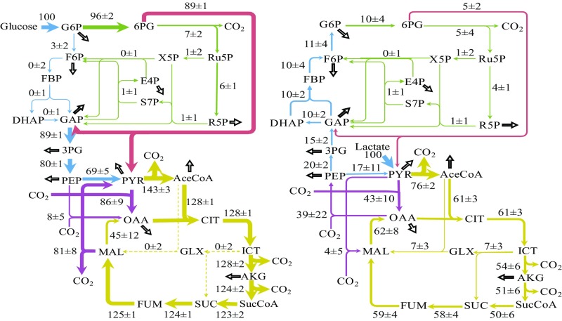 Fig. 2.