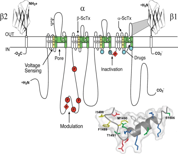 FIGURE 6.