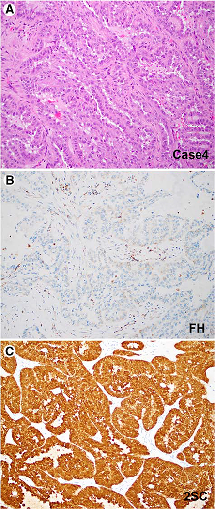 Figure 2: