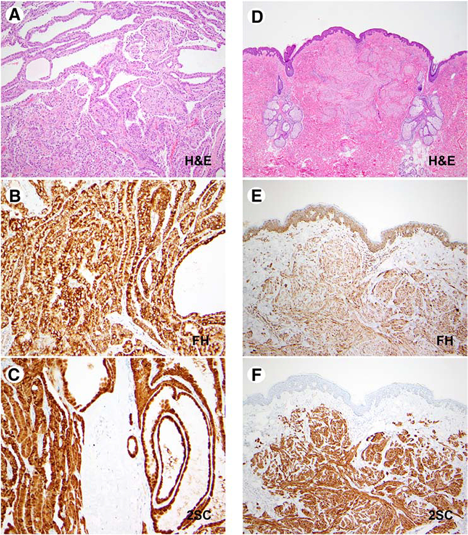 Figure 5: