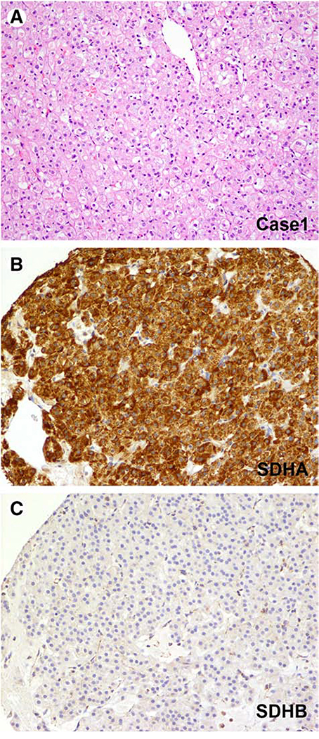 Figure 1: