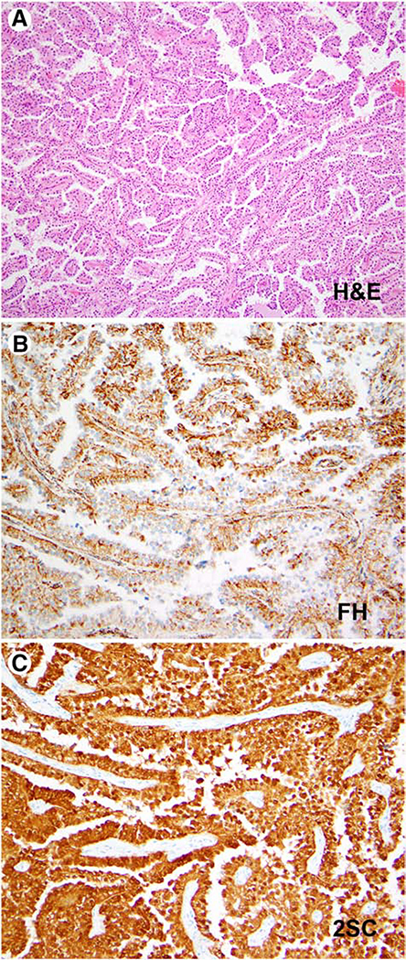 Figure 4: