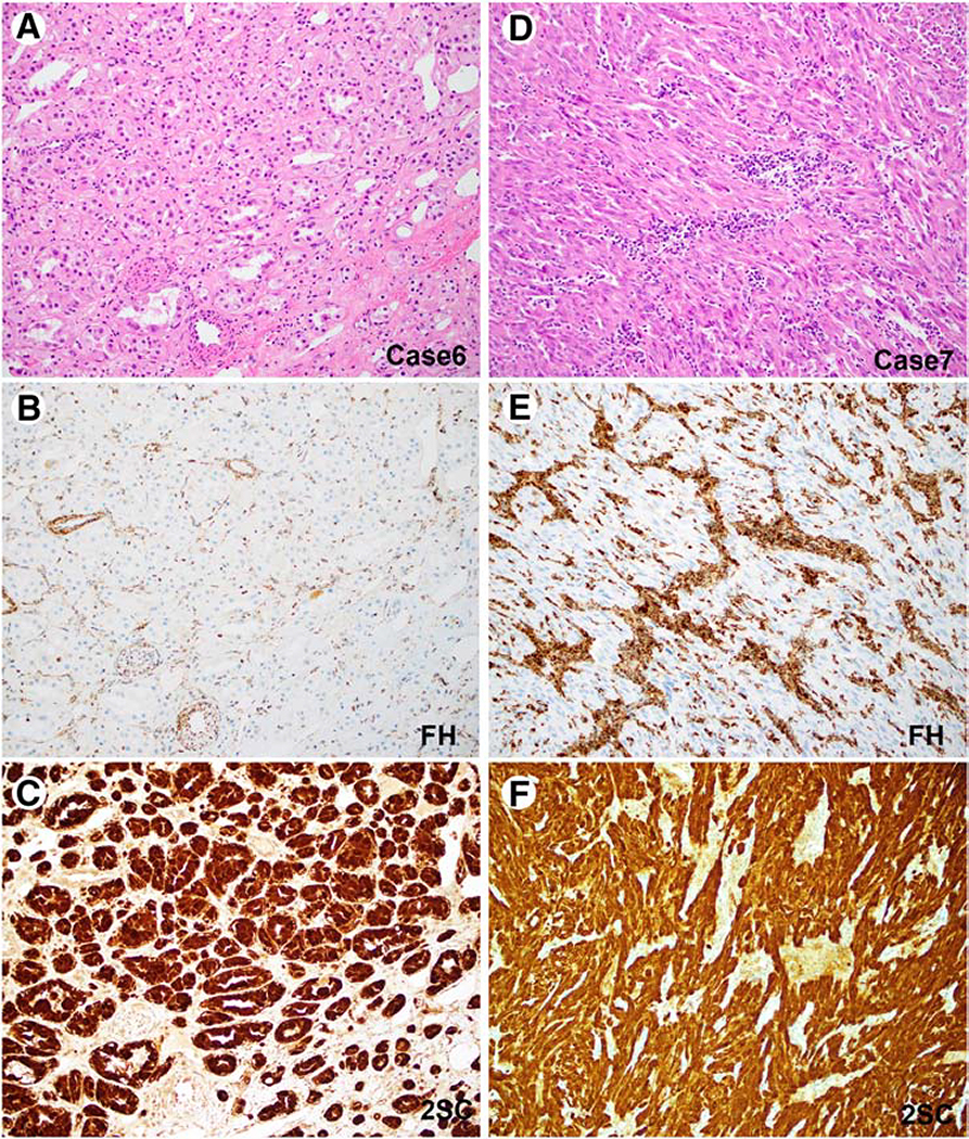 Figure 3: