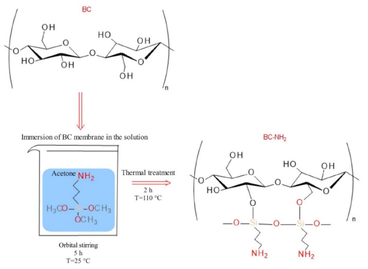 Figure 9