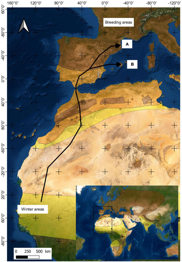 FIGURE 1