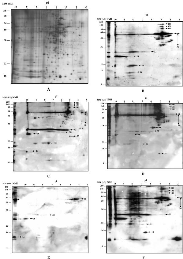 FIG. 3.