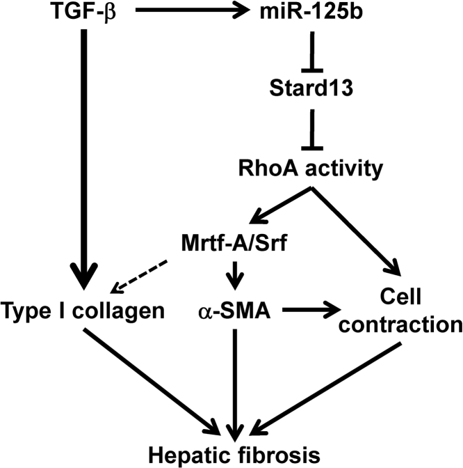 Figure 7