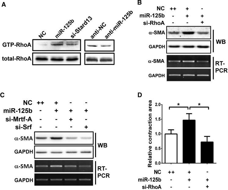 Figure 6