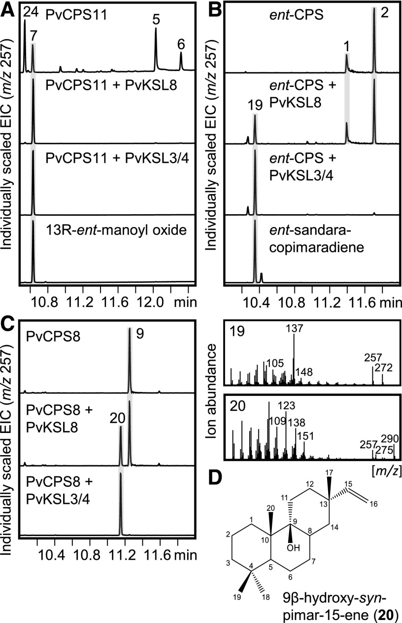 Figure 5.