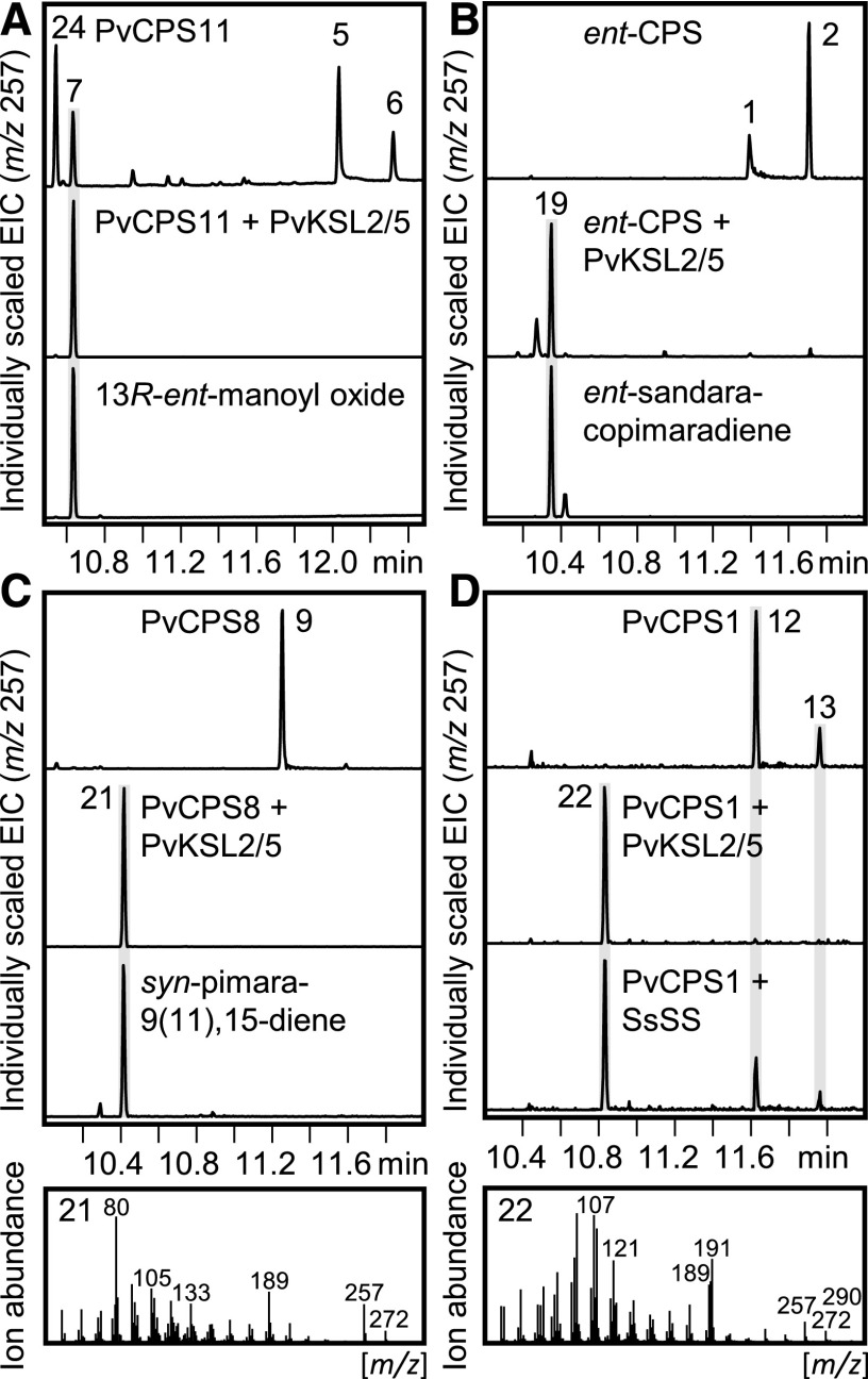 Figure 6.