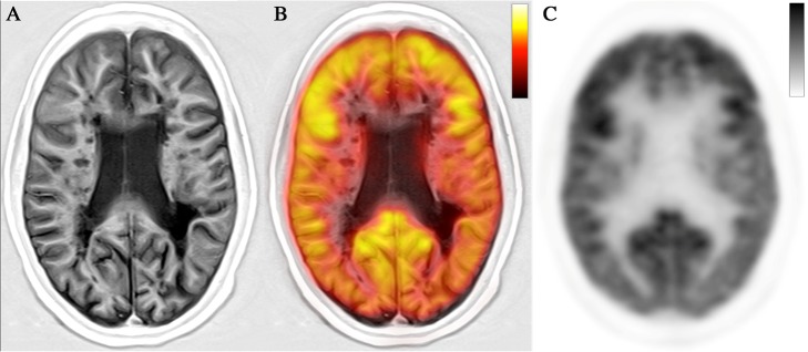 Fig. 4