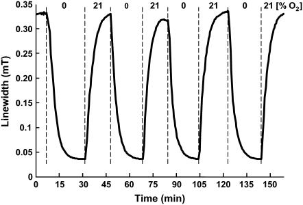 FIGURE 3