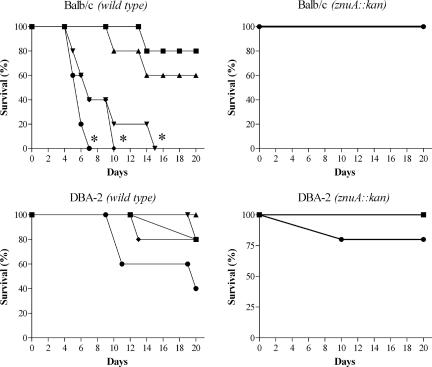 FIG. 7.