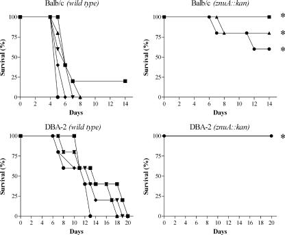 FIG. 6.