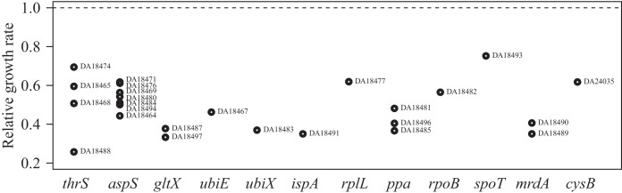 FIG 2