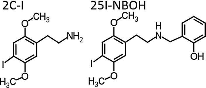 Fig. 1