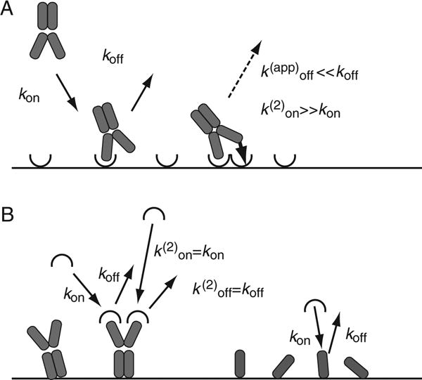 Figure 20.2.2