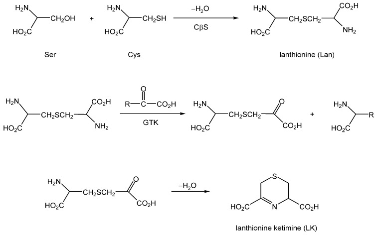 Scheme 2