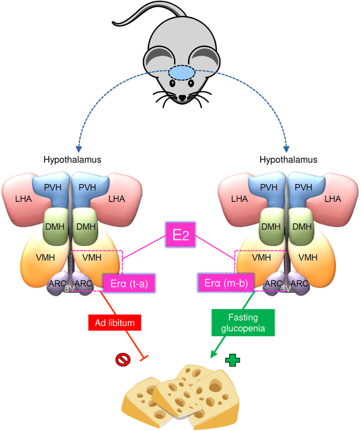 Figure 1