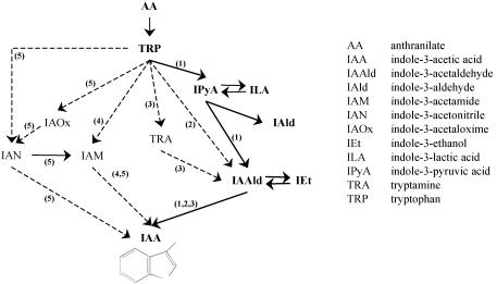 FIG. 6.