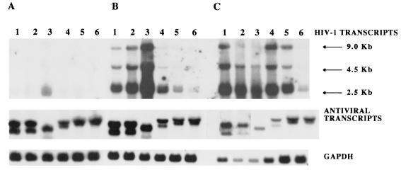 FIG. 7