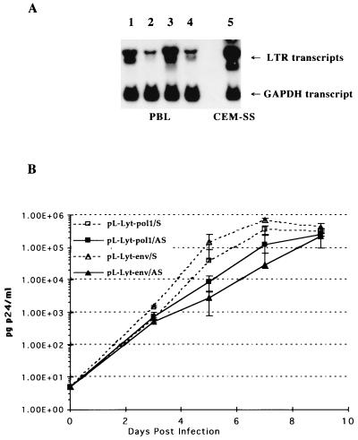 FIG. 5