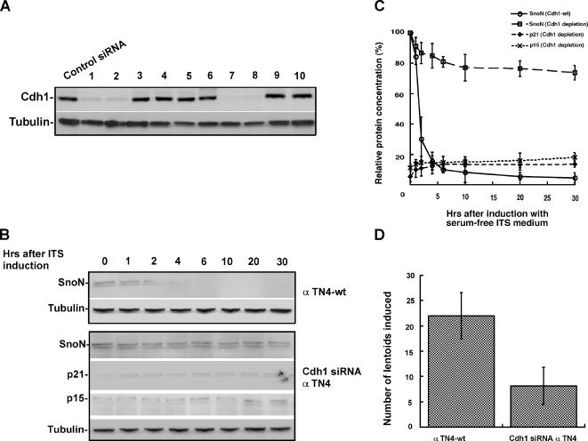 Figure 4.