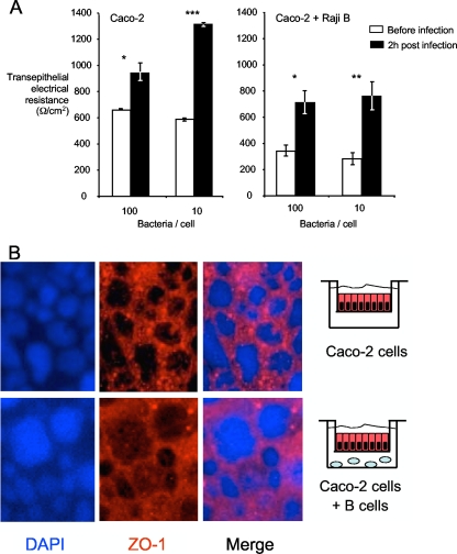 FIG. 7.