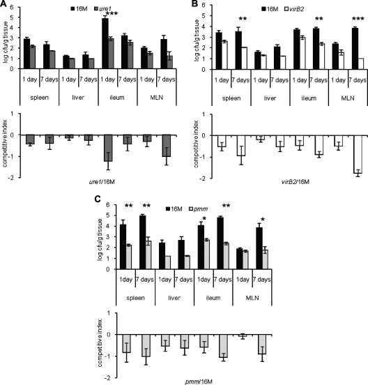 FIG. 4.