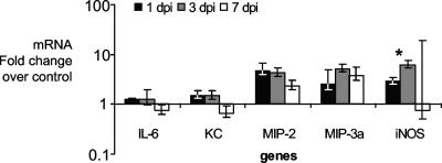 FIG. 2.