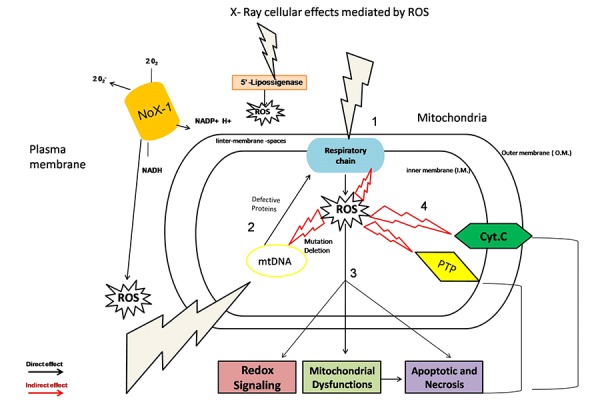 Fig 2: